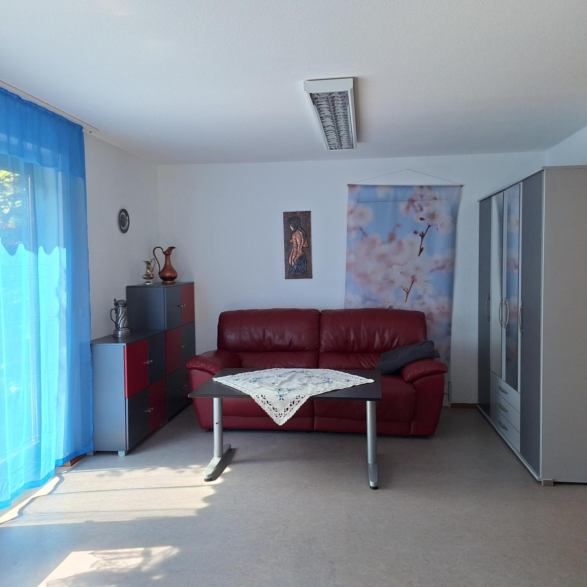 Pension Beim Kastell ซุลซ์ อัม เนคคาร์ ภายนอก รูปภาพ